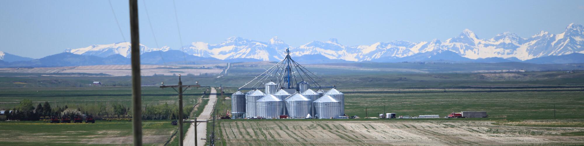 Grain Bins