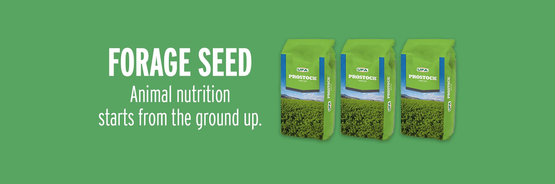 Forage Seed - Animal Nutrition Starts from the Ground Up