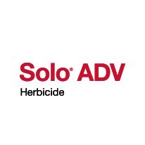 Solo ADV