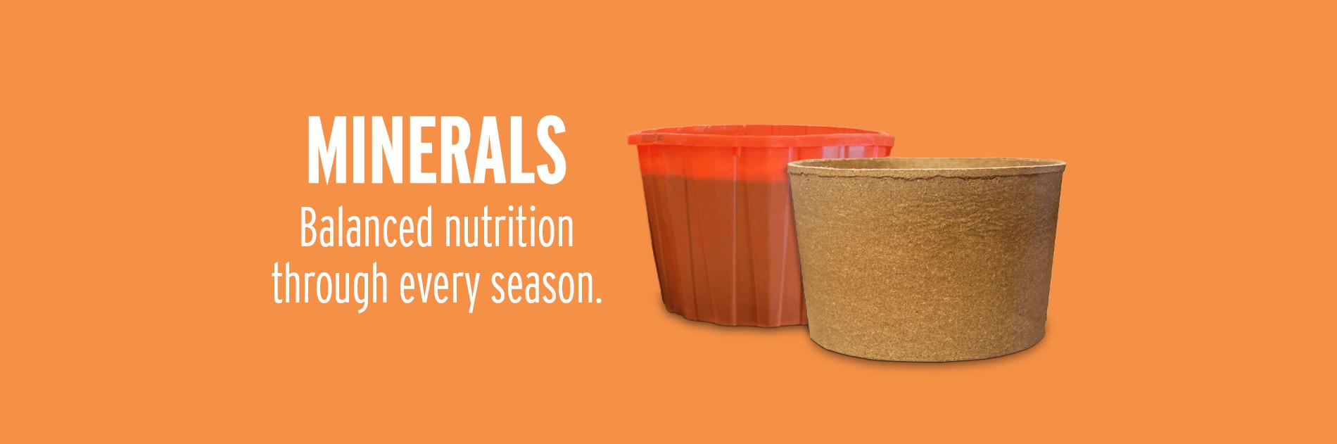 Minerals - Balanced Nutrition for Every Season