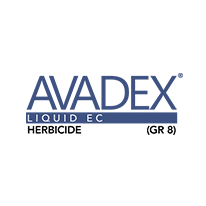 AVADEX